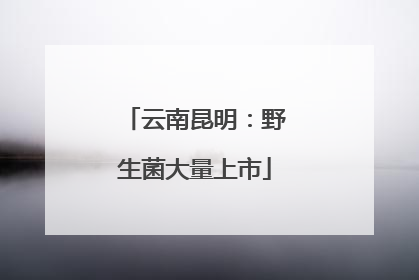 云南昆明：野生菌大量上市