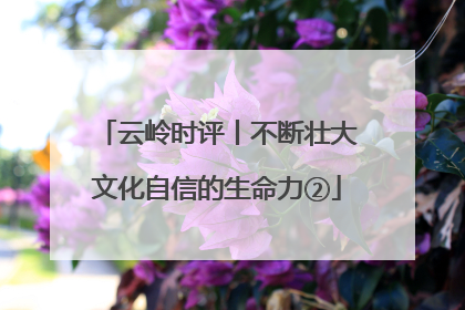 云岭时评丨不断壮大文化自信的生命力②