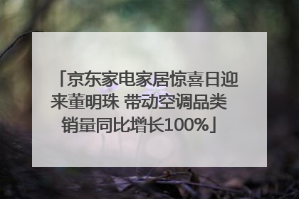 京东家电家居惊喜日迎来董明珠 带动空调品类销量同比增长100%