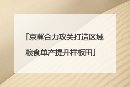 京冀合力攻关打造区域粮食单产提升样板田
