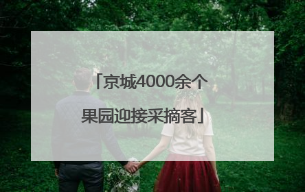 京城4000余个果园迎接采摘客