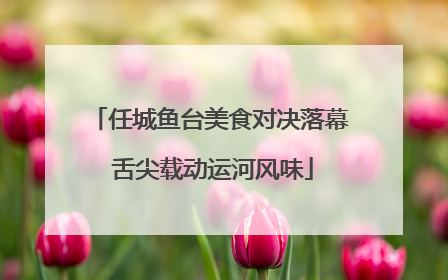 任城鱼台美食对决落幕 舌尖载动运河风味