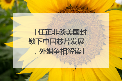 任正非谈美国封锁下中国芯片发展，外媒争相解读
