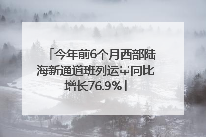 今年前6个月西部陆海新通道班列运量同比增长76.9%