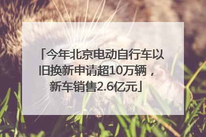 今年北京电动自行车以旧换新申请超10万辆，新车销售2.6亿元