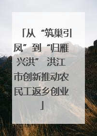从“筑巢引凤”到“归雁兴洪” 洪江市创新推动农民工返乡创业