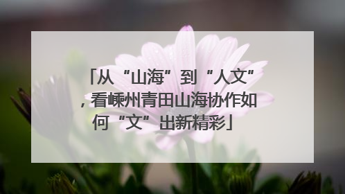 从“山海”到“人文”，看嵊州青田山海协作如何“文”出新精彩