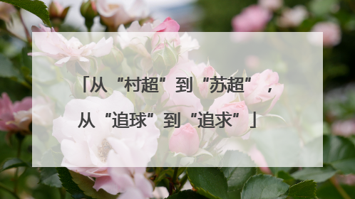 从“村超”到“苏超”，从“追球”到“追求”