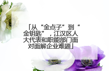 从“金点子”到“金钥匙”，江汉区人大代表和职能部门面对面解企业难题