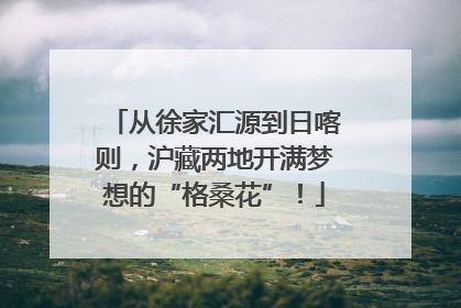 从徐家汇源到日喀则，沪藏两地开满梦想的“格桑花”！