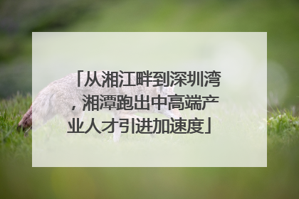从湘江畔到深圳湾，湘潭跑出中高端产业人才引进加速度