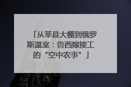 从莘县大棚到俄罗斯温室：鲁西嫁接工的“空中农事”