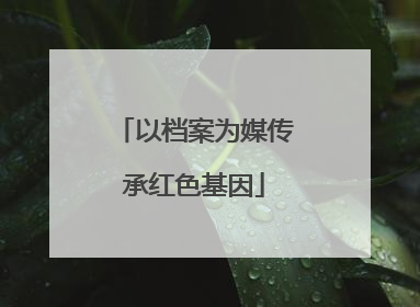 以档案为媒传承红色基因