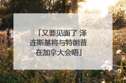 又要见面了 泽连斯基将与特朗普在加拿大会晤