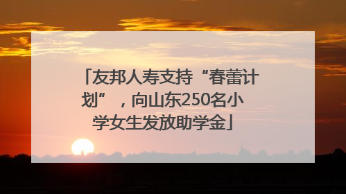 友邦人寿支持“春蕾计划”，向山东250名小学女生发放助学金