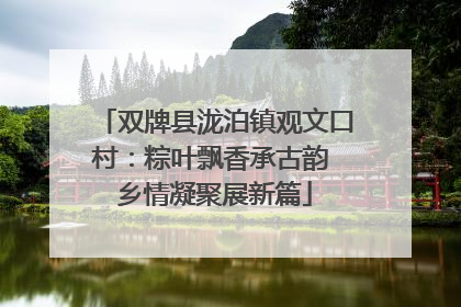 双牌县泷泊镇观文口村：粽叶飘香承古韵 乡情凝聚展新篇