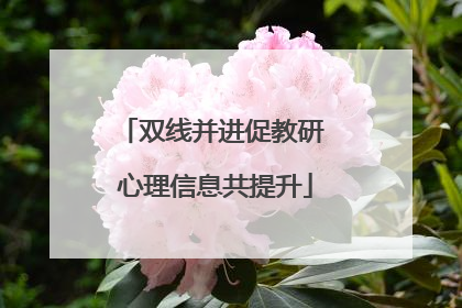 双线并进促教研 心理信息共提升