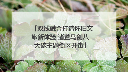 双线融合打造怀旧文旅新体验 诸暨马剑八大碗主题街区开街