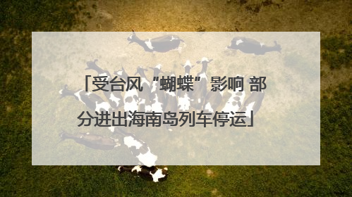 受台风“蝴蝶”影响 部分进出海南岛列车停运