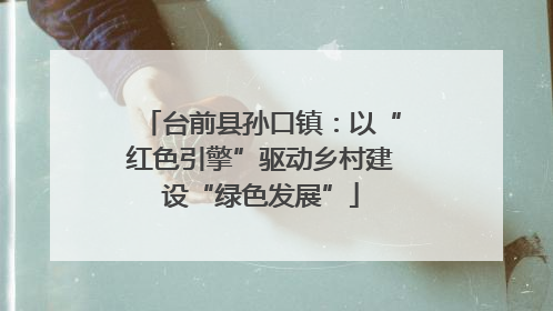 台前县孙口镇：以“红色引擎”驱动乡村建设“绿色发展”