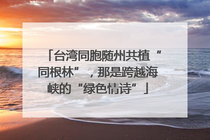 台湾同胞随州共植“同根林”，那是跨越海峡的“绿色情诗”