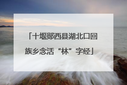 十堰郧西县湖北口回族乡念活“林”字经