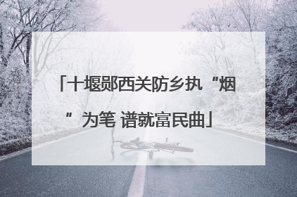 十堰郧西关防乡执“烟”为笔 谱就富民曲