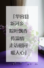 华容县新河乡：粽叶飘香传温情 走访慰问暖人心