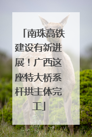 南珠高铁建设有新进展！广西这座特大桥系杆拱主体完工