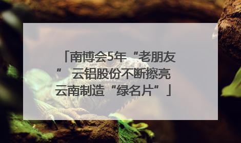 南博会5年“老朋友” 云铝股份不断擦亮云南制造“绿名片”