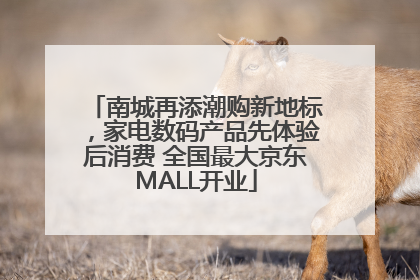 南城再添潮购新地标，家电数码产品先体验后消费 全国最大京东MALL开业
