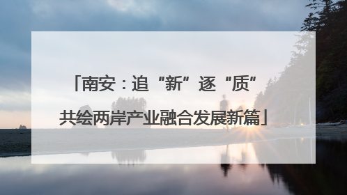 南安：追“新”逐“质” 共绘两岸产业融合发展新篇