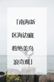 南海新区海边藏着绝美鸟浪奇观
