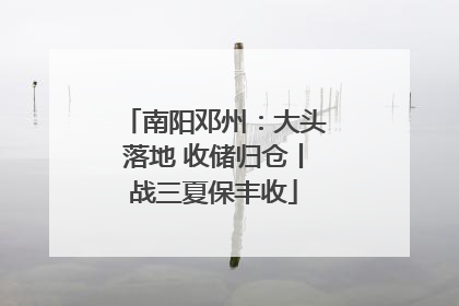 南阳邓州：大头落地 收储归仓丨战三夏保丰收