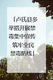 卢氏县多举措开展禁毒集中宣传 筑牢全民禁毒防线