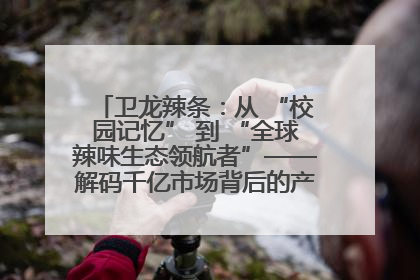 卫龙辣条：从 “校园记忆” 到 “全球辣味生态领航者”——解码千亿市场背后的产品创新与全链路破圈