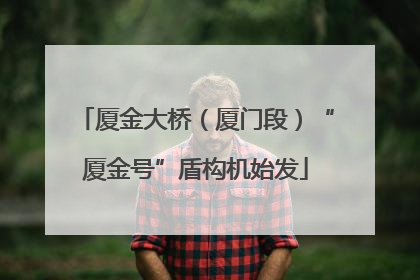 厦金大桥（厦门段）“厦金号”盾构机始发