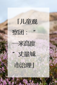 儿童观察团：“一米高度”丈量城市治理