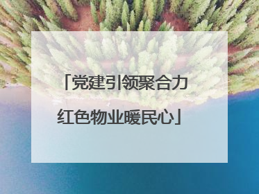 党建引领聚合力 红色物业暖民心