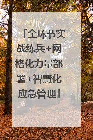 全环节实战练兵+网格化力量部署+智慧化应急管理