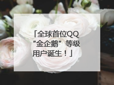 全球首位QQ“金企鹅”等级用户诞生！