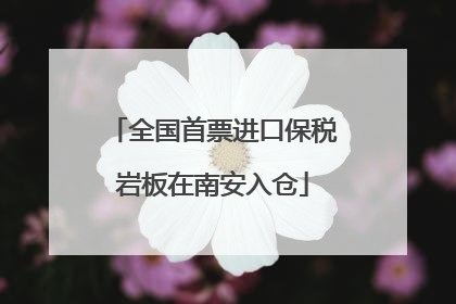 全国首票进口保税岩板在南安入仓