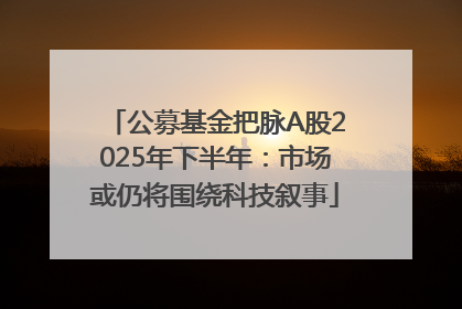公募基金把脉A股2025年下半年：市场或仍将围绕科技叙事
