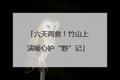 六天两救！竹山上演暖心护“野”记