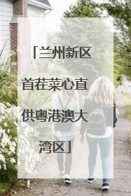 兰州新区首茬菜心直供粤港澳大湾区