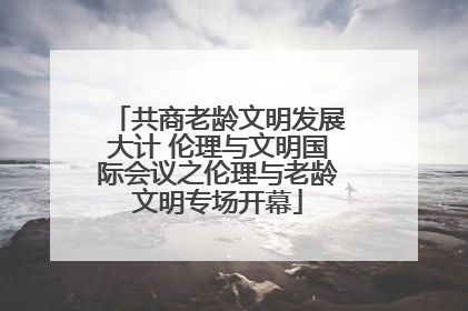 共商老龄文明发展大计 伦理与文明国际会议之伦理与老龄文明专场开幕