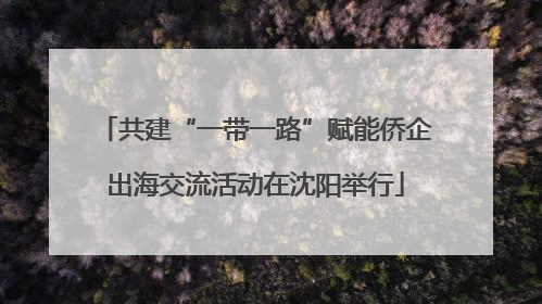 共建“一带一路”赋能侨企出海交流活动在沈阳举行