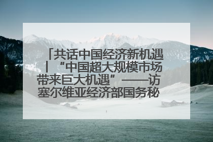 共话中国经济新机遇丨“中国超大规模市场带来巨大机遇”——访塞尔维亚经济部国务秘书尼科利奇