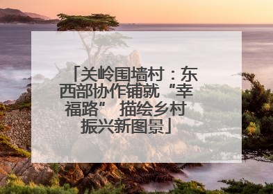 关岭围墙村：东西部协作铺就“幸福路” 描绘乡村振兴新图景