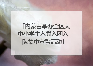 内蒙古举办全区大中小学生入党入团入队集中宣誓活动